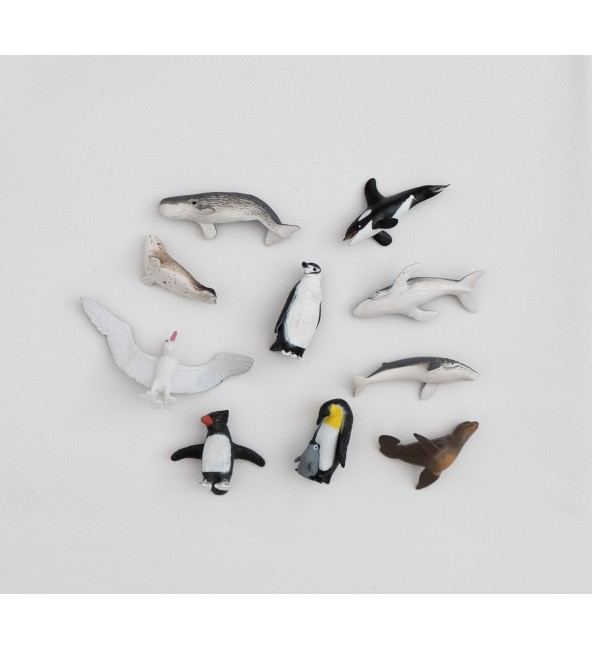 Safari Ltd - Antarctica TOOB®
