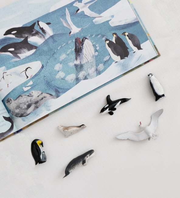Safari Ltd - Antarctica TOOB®